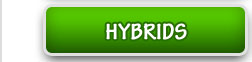 Hybrids